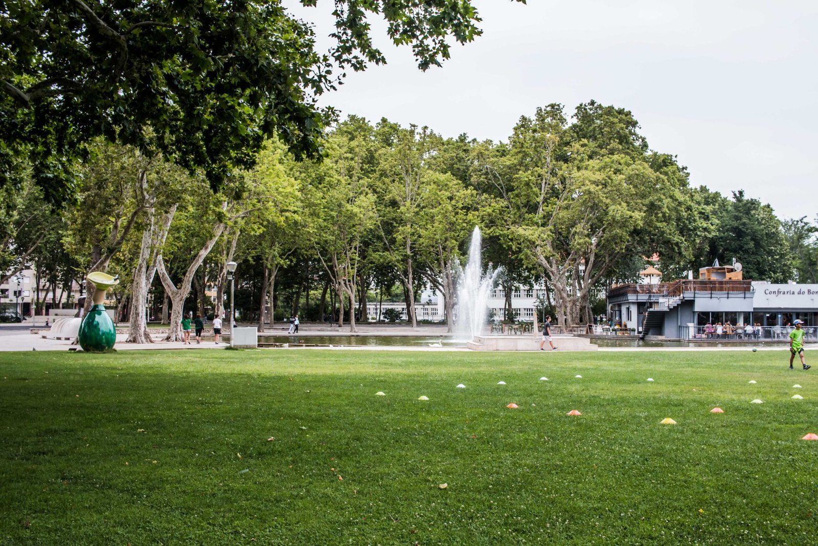 Setúbal com pólen elevado, risco para alérgicos a partir de sexta-feira