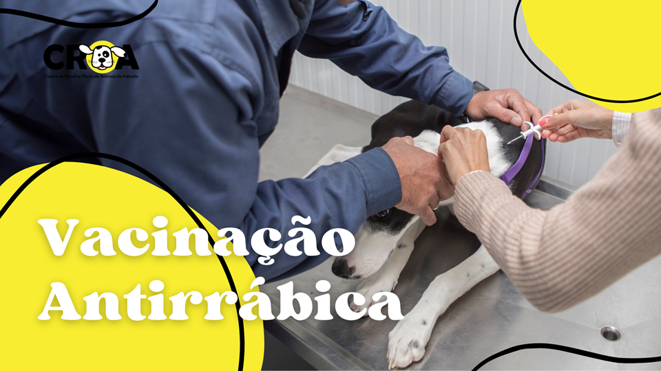 Imagem: Divulgação - Campanha Oficial de Vacinação Antirrábica começa dia 07 de maio em Palmela