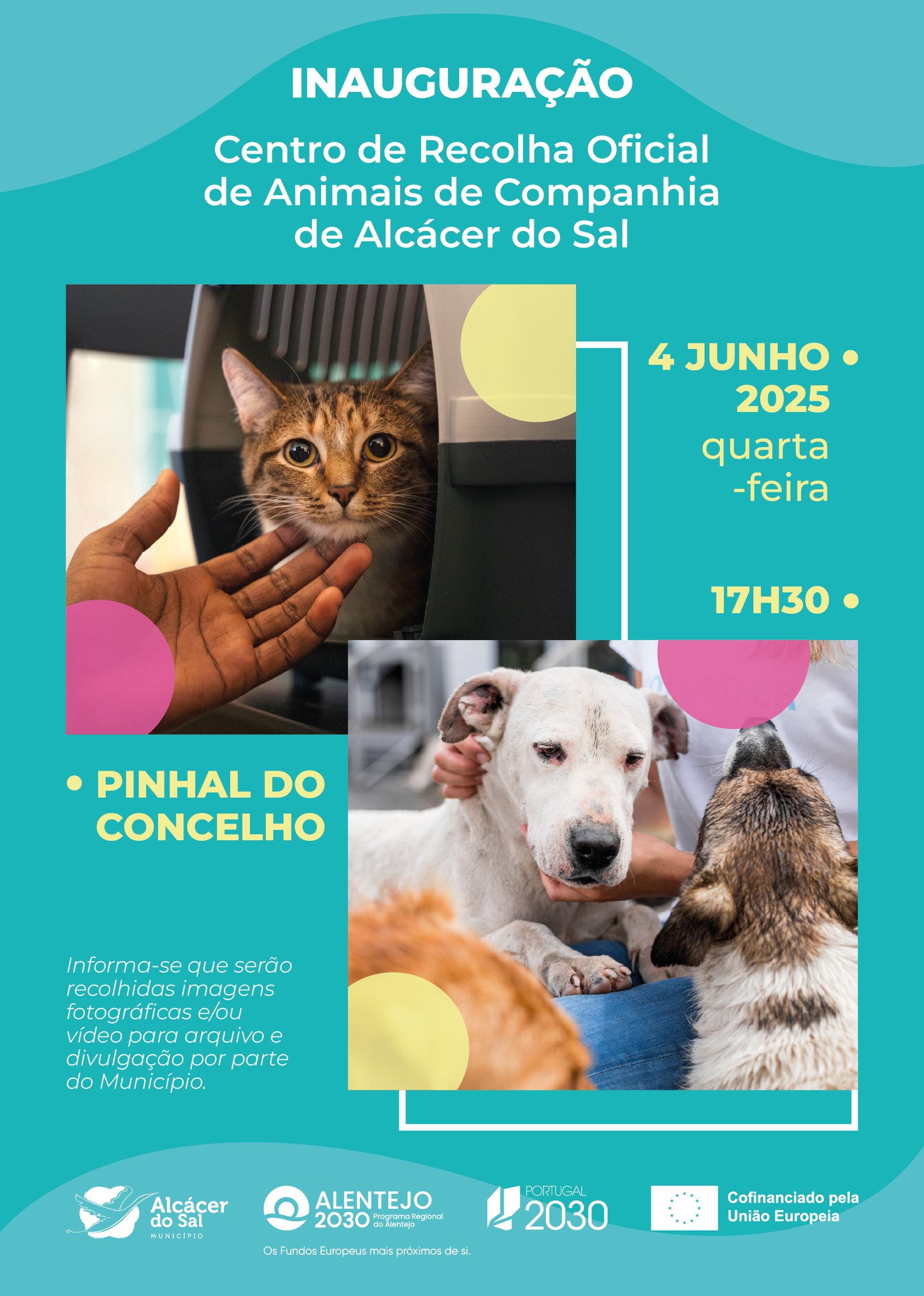 Novo centro de recolha de Alcácer do Sal custou mais de 384 mil euros e abre portas a 6 de junho