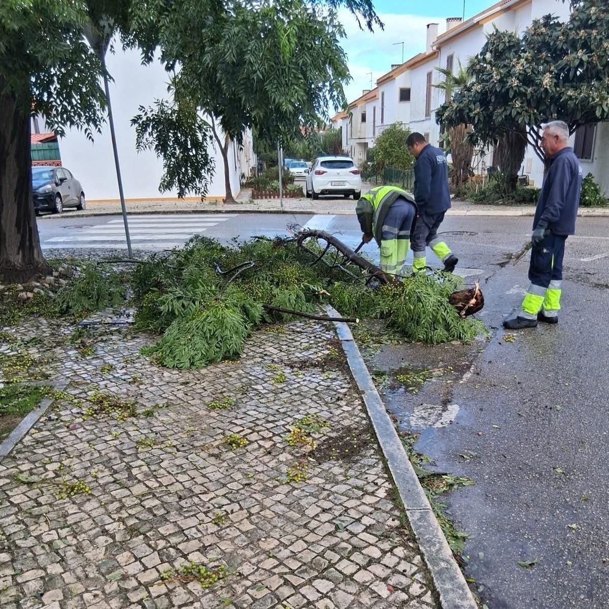 Junta de Freguesia de Azeitão reforça resposta aos estragos do mau tempo